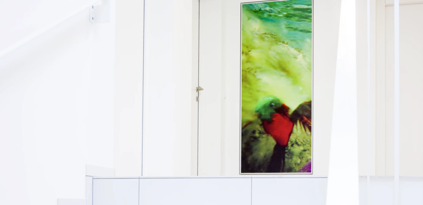 Abstrakte Kunst an der Wand des modernen Treppenhauses im Wohnhaus Eicheleweg in Hard (Wohnanlage).