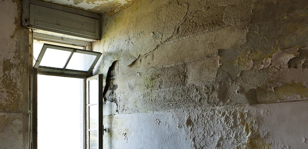 Raum mit stark beschädigten Wänden, abblätternder Farbe und sichtbaren Feuchtigkeits- und Schimmelspuren (Schimmelbildung)