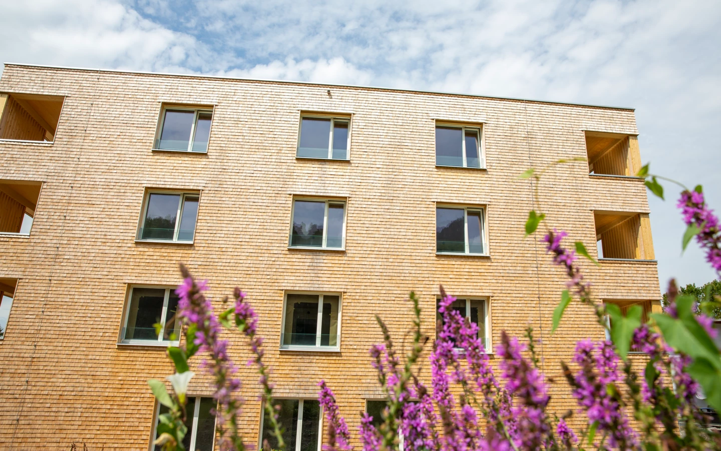 Fassade eines modernen Holzgebäudes mit vielen Fenstern und lila Blumen im Vordergrund unter blauem Himmel (Hellbrunnenstraße).