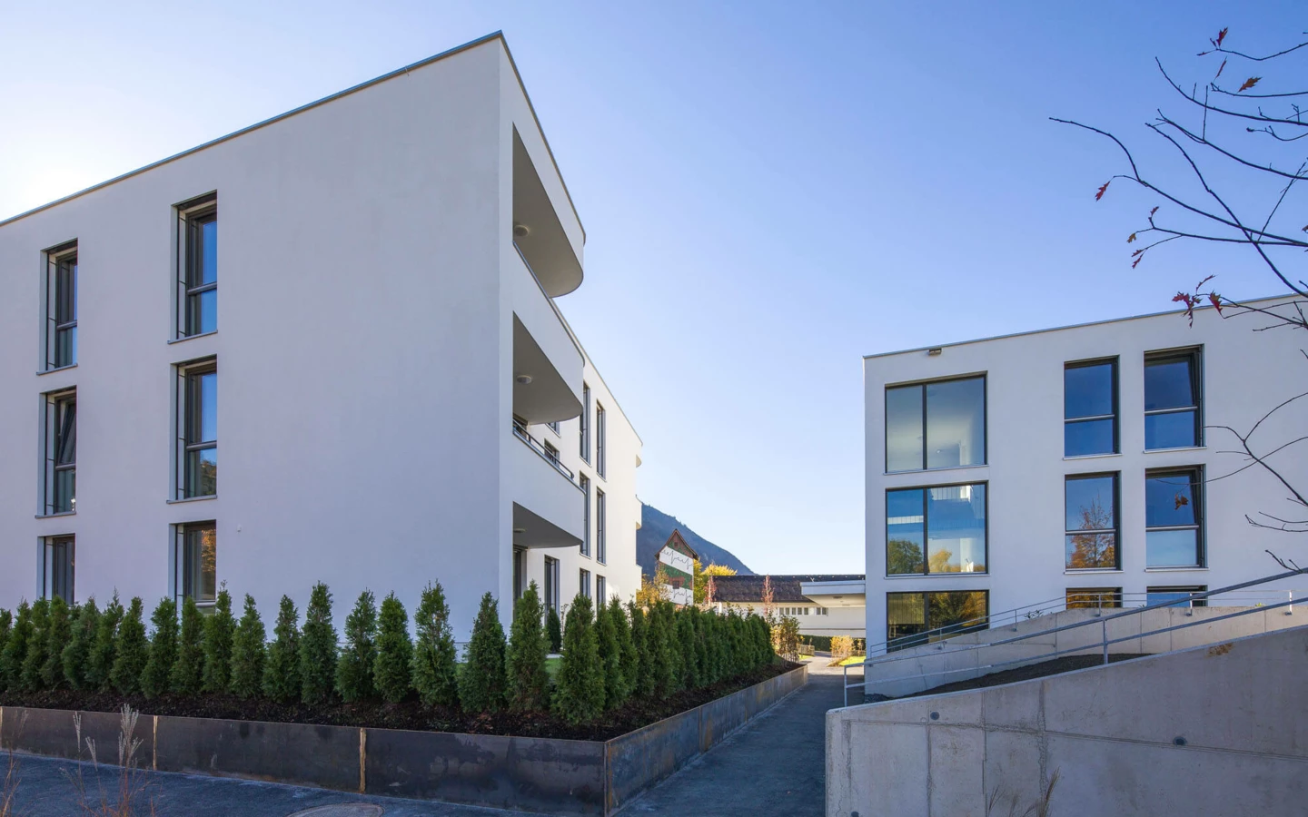 Zwei moderne weiße Wohngebäude mit Balkonen, umgeben von gepflegten Hecken und Gehwegen unter blauem Himmel in der Wolf-Huber-Straße, Feldkirch (Wohnanlage).