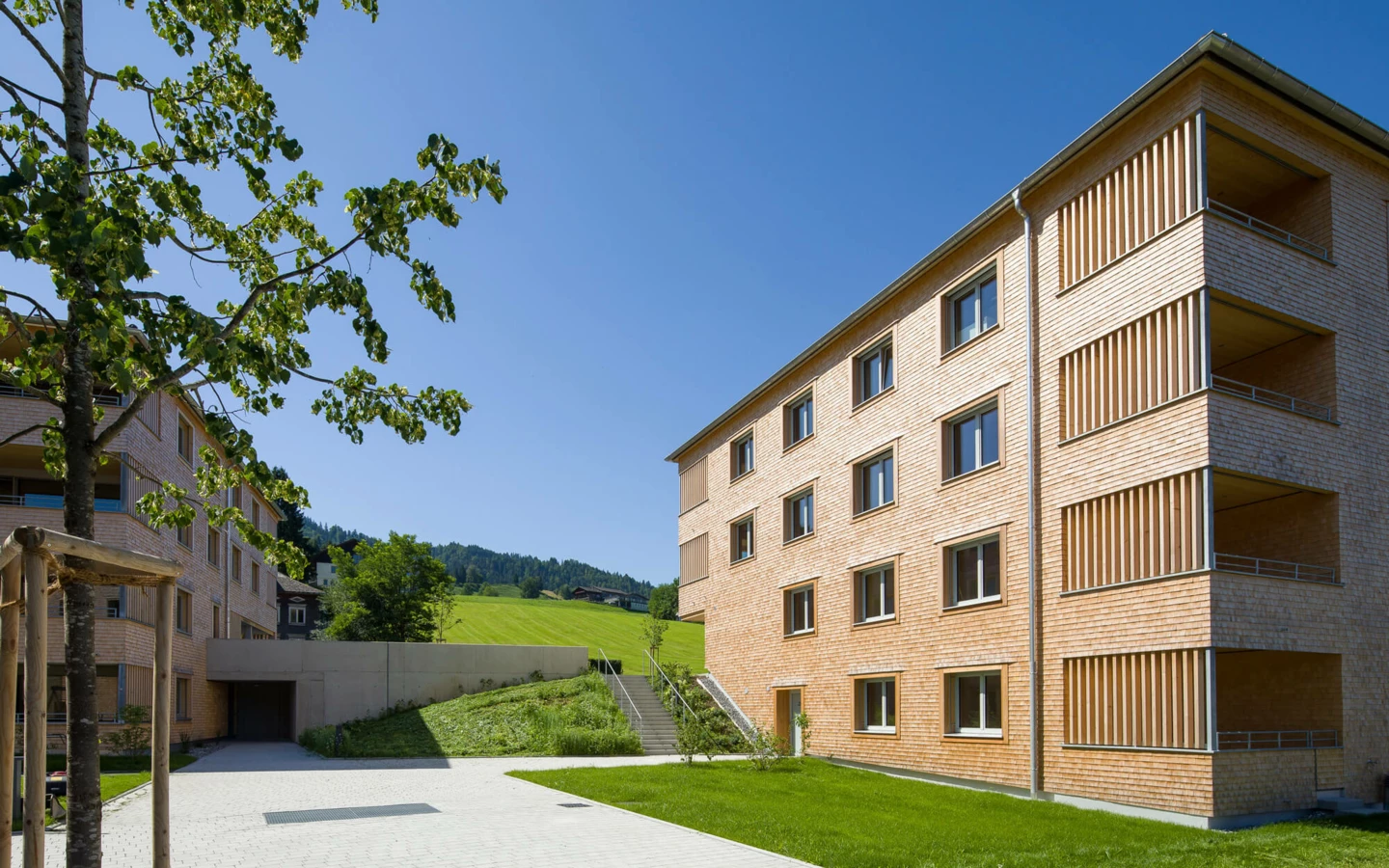 Zwei moderne Holzgebäude mit Gärten und Auffahrt unter blauem Himmel in der Wohnanlage Schwarzen, Alberschwende.