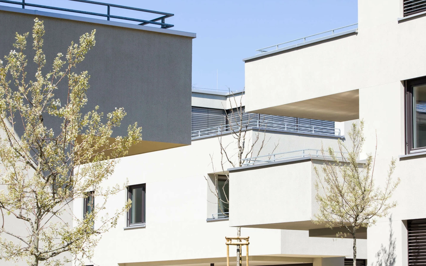 Moderne weiße Wohngebäude mit Balkonen und blühenden Bäumen im Frühling an der Wohnanlage Wuhrbaumweg.