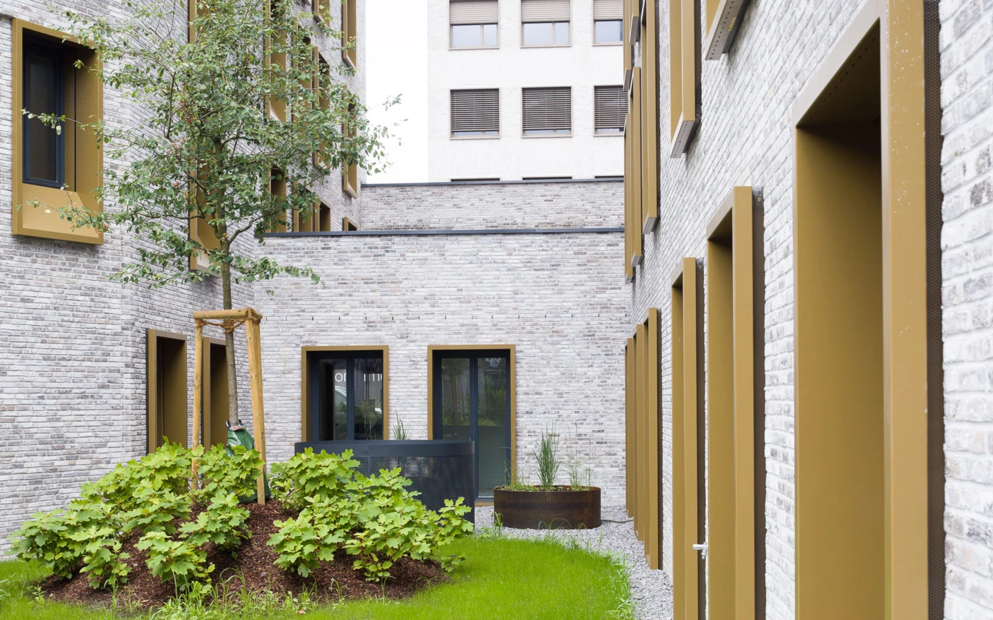 Blick in einen begrünten Innenhof des Wohnprojekts Kreuzgasse in Dornbirn mit Gebäuden aus hellem Backstein, goldenen Akzenten und Pflanzen.