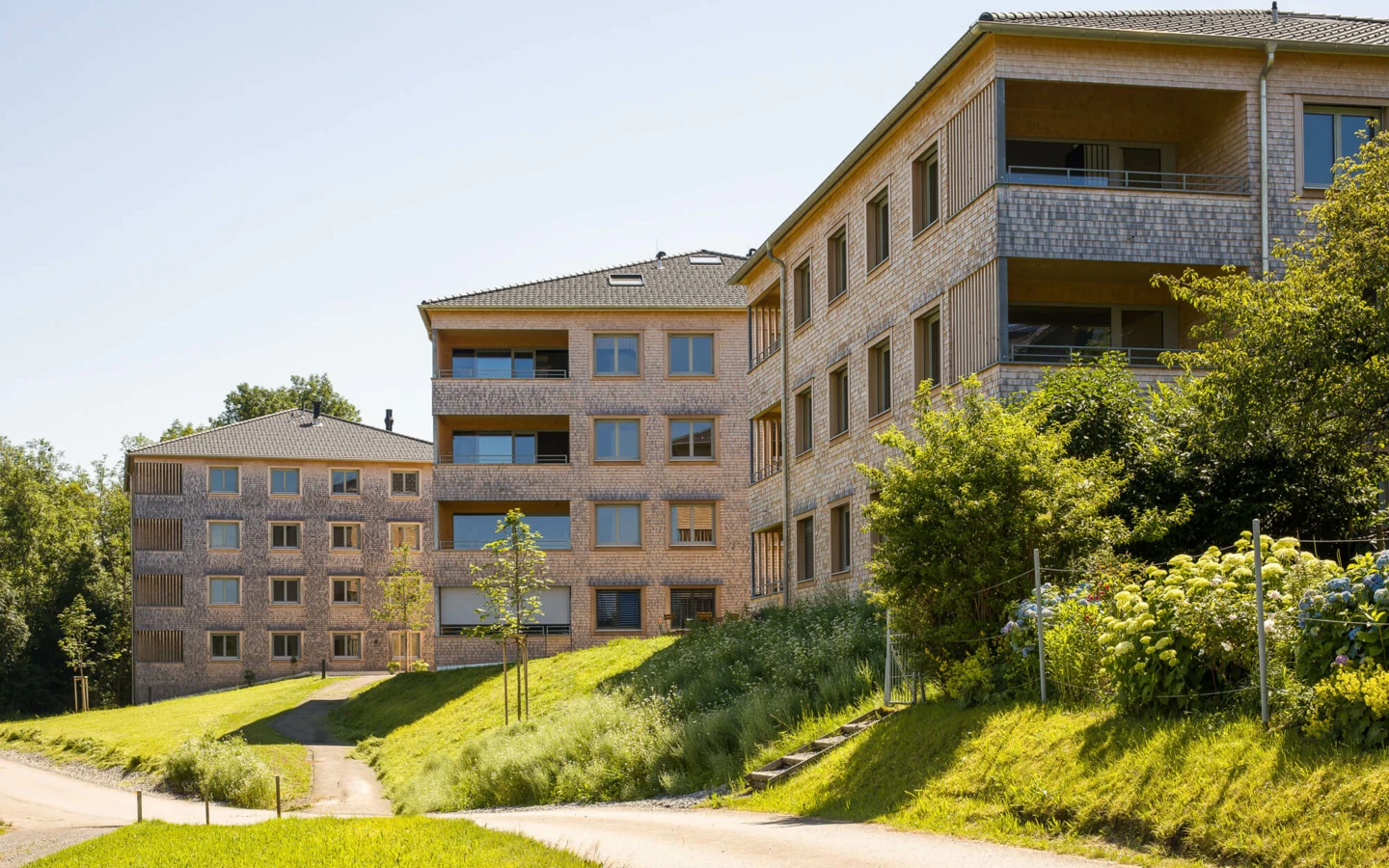 Mehrere moderne Wohngebäude mit Holzfassaden und Balkonen auf einer begrünten Anhöhe in Alberschwende (Wohnanlage).