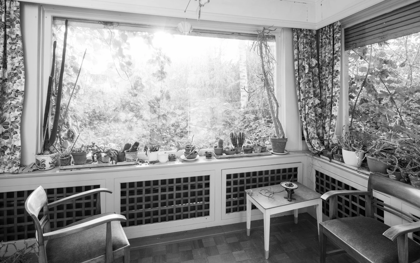 Schwarz-Weiß-Aufnahme eines lichtdurchfluteten Wintergartens mit vielen Topfpflanzen auf der Fensterbank, zwei Stühlen und einem kleinen Tisch (Villa, Reichsstr).