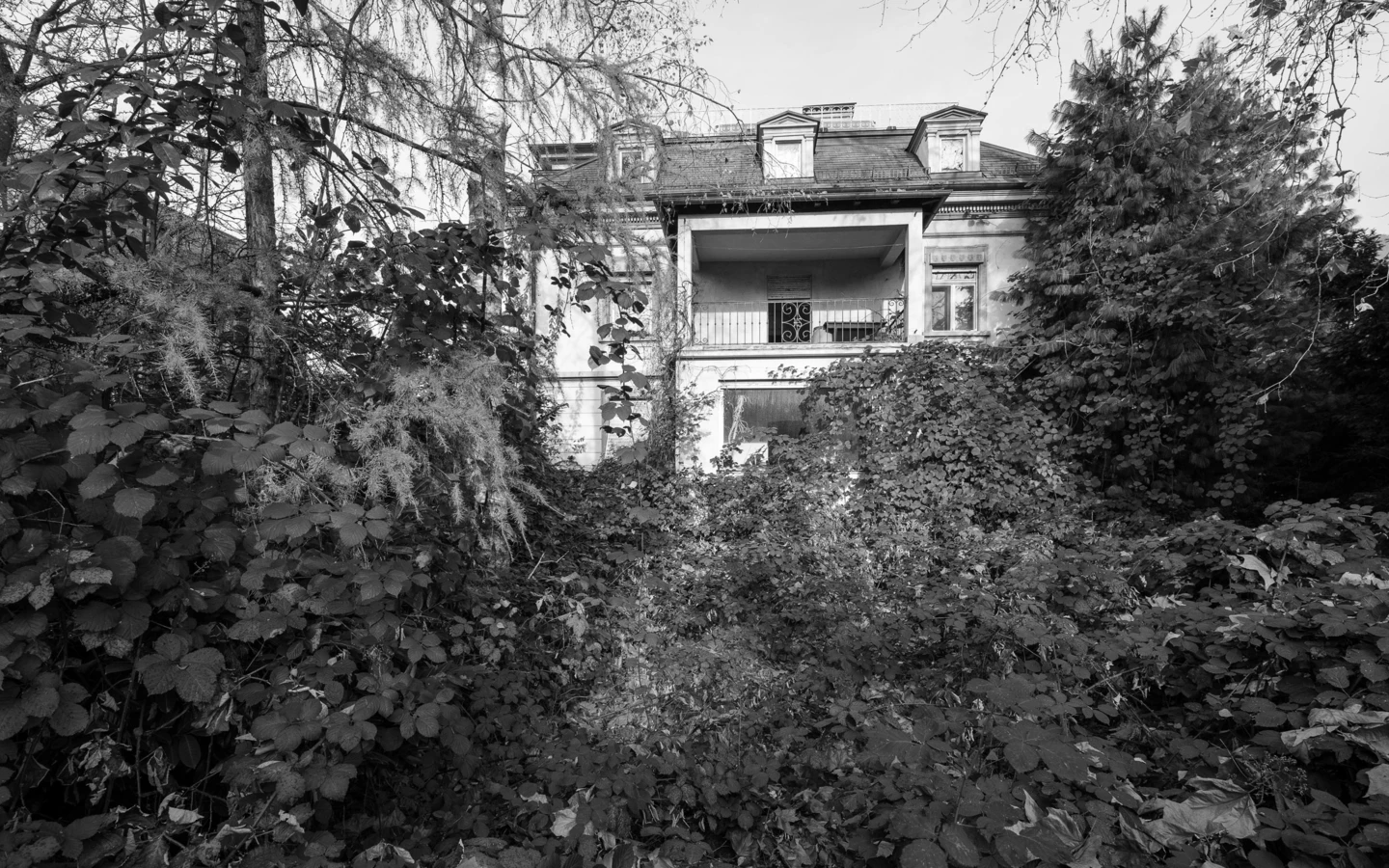 Schwarz-Weiß-Ansicht einer alten, von Bäumen und wuchernder Vegetation umgebenen Villa mit Balkon und Dachgauben (Reichsstr).