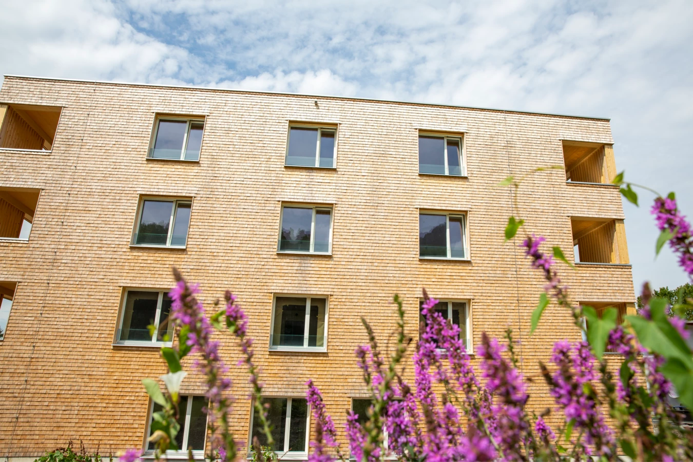 Fassade eines modernen Holzgebäudes mit vielen Fenstern und lila Blumen im Vordergrund unter blauem Himmel (Hellbrunnenstraße).