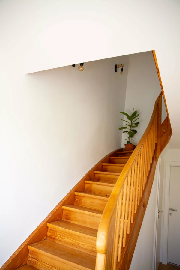 Eine elegante Holztreppe in einem Einfamilienhaus in Dornbirn, mit einer Topfpflanze auf einer Stufe und freiliegenden Glühbirnen an der Wand (Generalsanierung).
