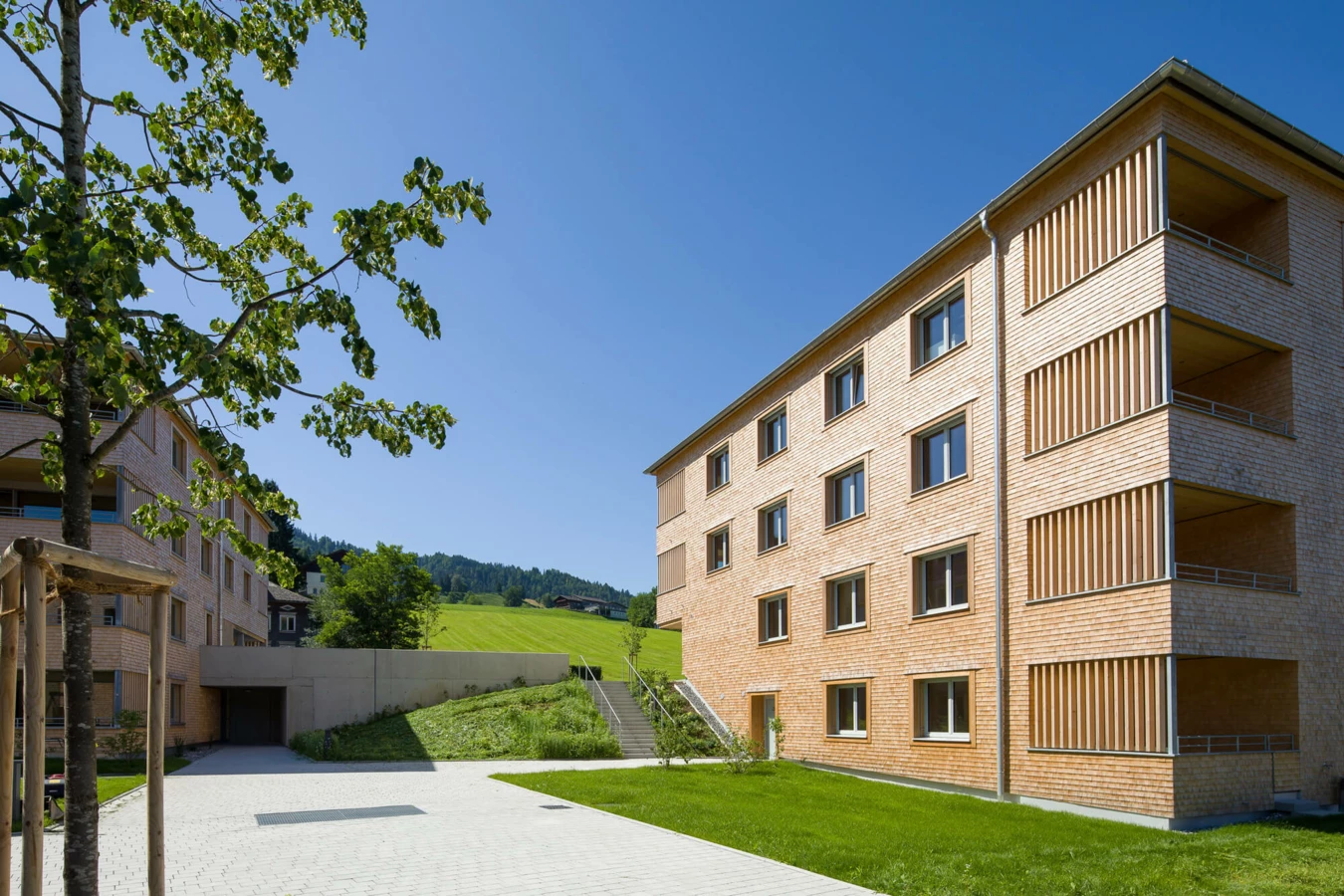 Zwei moderne Holzgebäude mit Gärten und Auffahrt unter blauem Himmel in der Wohnanlage Schwarzen, Alberschwende.