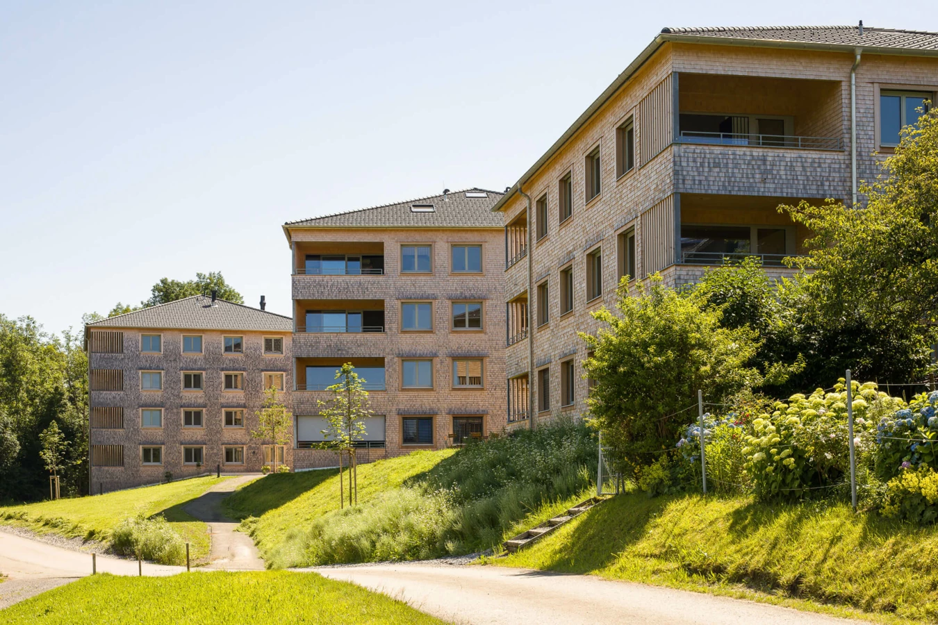 Mehrere moderne Wohngebäude mit Holzfassaden und Balkonen auf einer begrünten Anhöhe in Alberschwende (Wohnanlage).