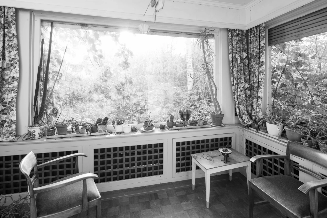 Schwarz-Weiß-Aufnahme eines lichtdurchfluteten Wintergartens mit vielen Topfpflanzen auf der Fensterbank, zwei Stühlen und einem kleinen Tisch (Villa, Reichsstr).