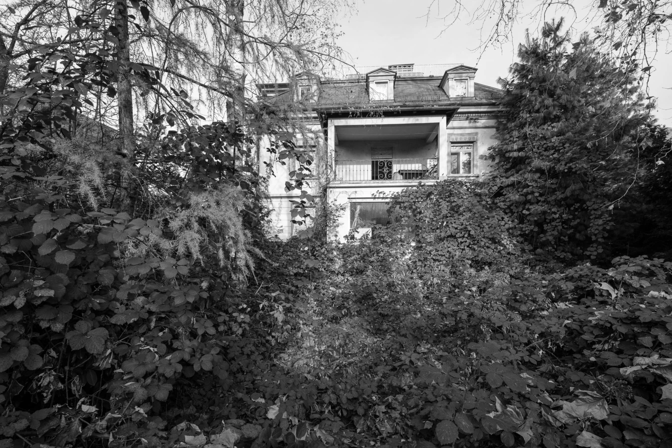 Schwarz-Weiß-Ansicht einer alten, von Bäumen und wuchernder Vegetation umgebenen Villa mit Balkon und Dachgauben (Reichsstr).